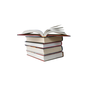 Modern Fiction Novel